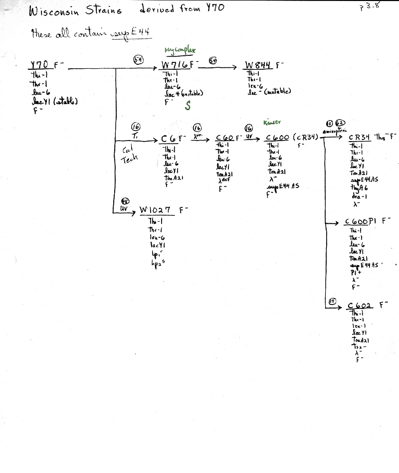 X16 BJBachmann Reconstruction p3.8